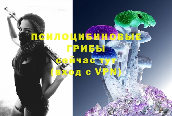 хмурый Богородицк