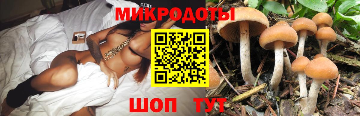 Псилоцибиновые грибы мицелий Тольятти