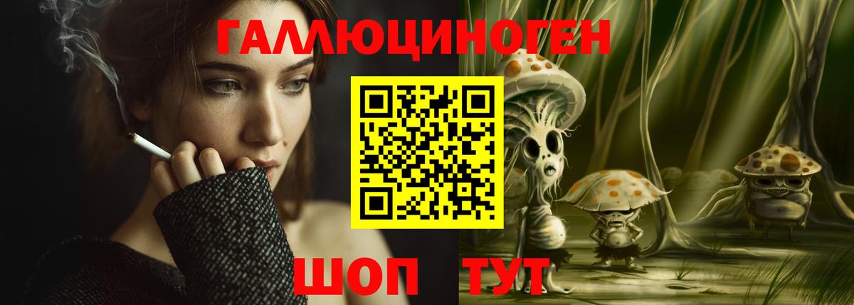 Псилоцибиновые грибы Psilocybine cubensis  Тольятти 